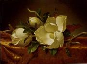 unknow artist Still life floral, all kinds of reality flowers oil painting 25 oil painting picture wholesale